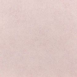 Обои Rasch Vincenza 467161